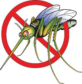 Malaria Advice